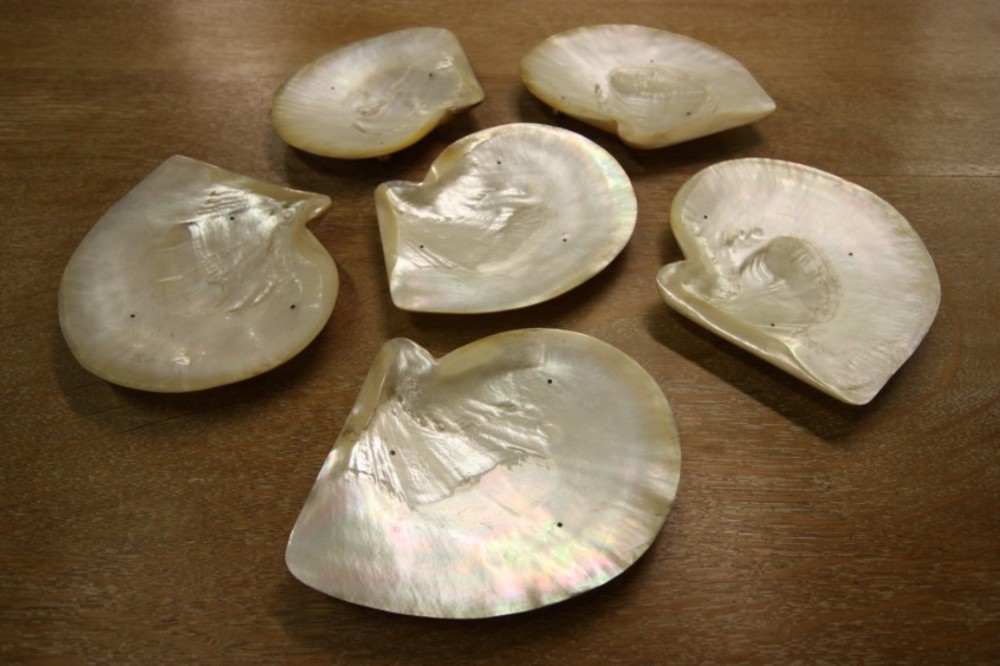 Set of Six 1920's Seafood Plates