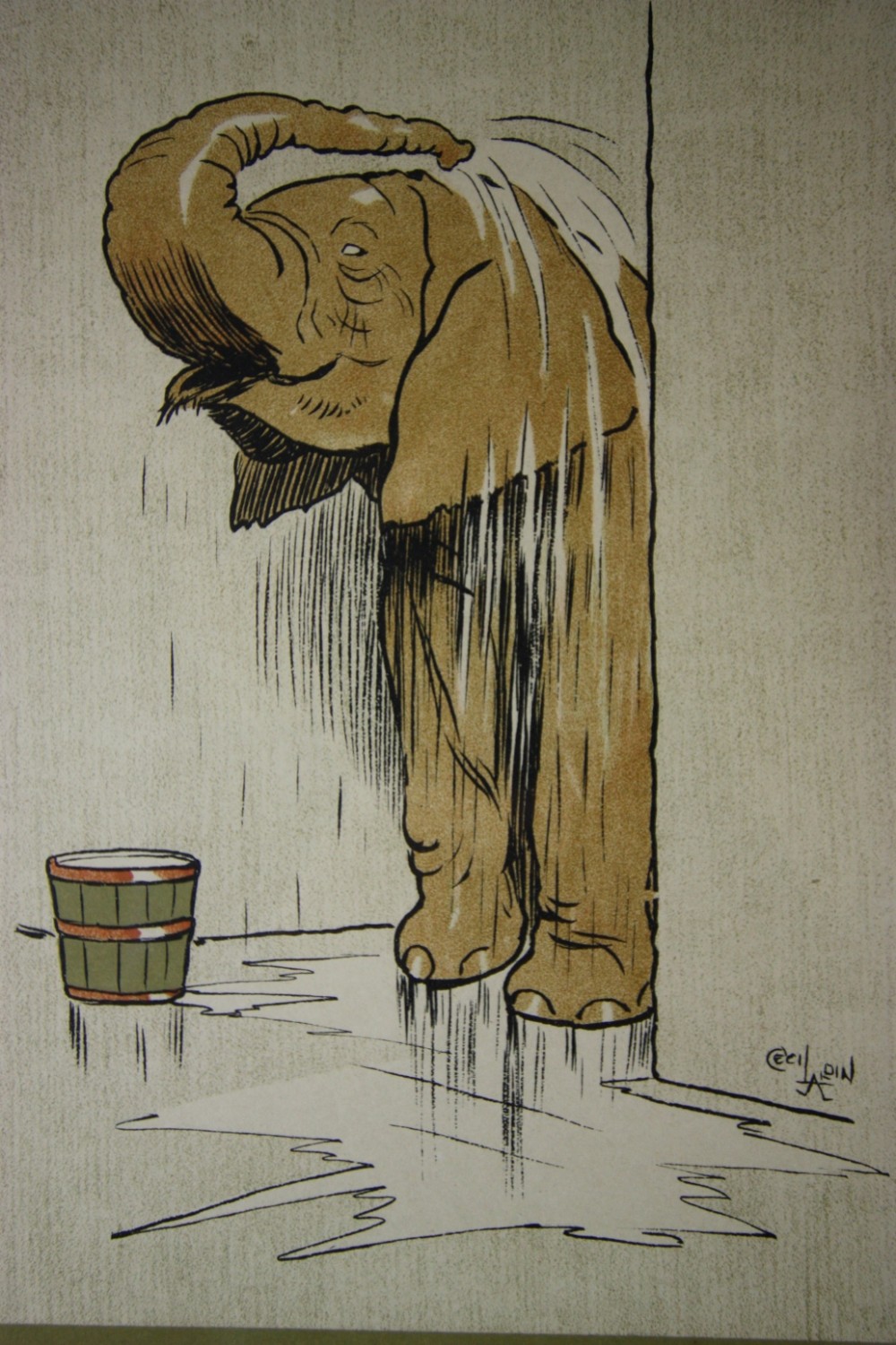 Set of 24 Cecil Aldin Zoo Babies Prints