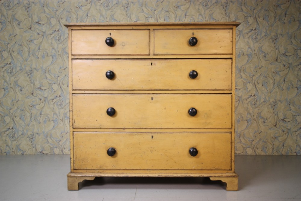 Regency English Antique Pine Chest in Original Paint.