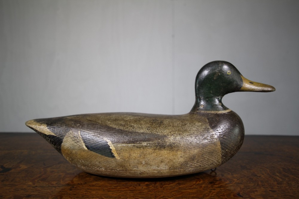 Large English Antique Decoy Duck in Orignal Paint.