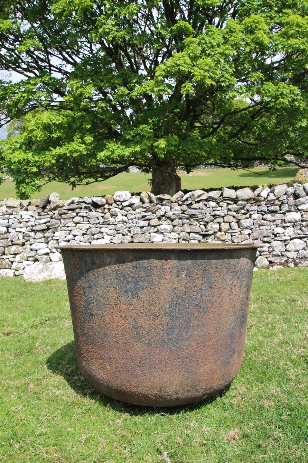 Massive 19th Century Antique Iron Planter