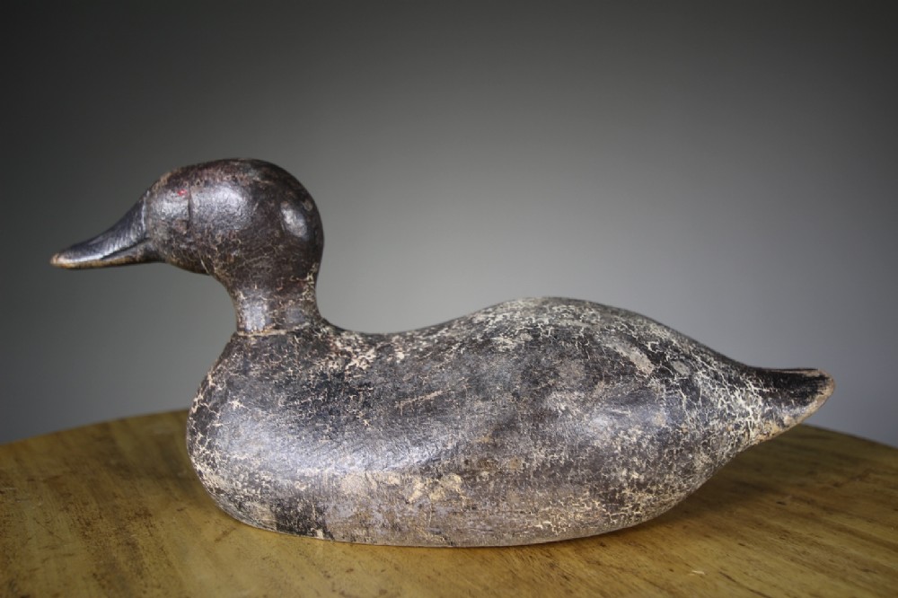 Large English 19th Century Antique Decoy Duck