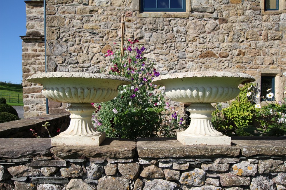 Wonderful Large Pair of English 19th Century Antique Iron Tazza Urns