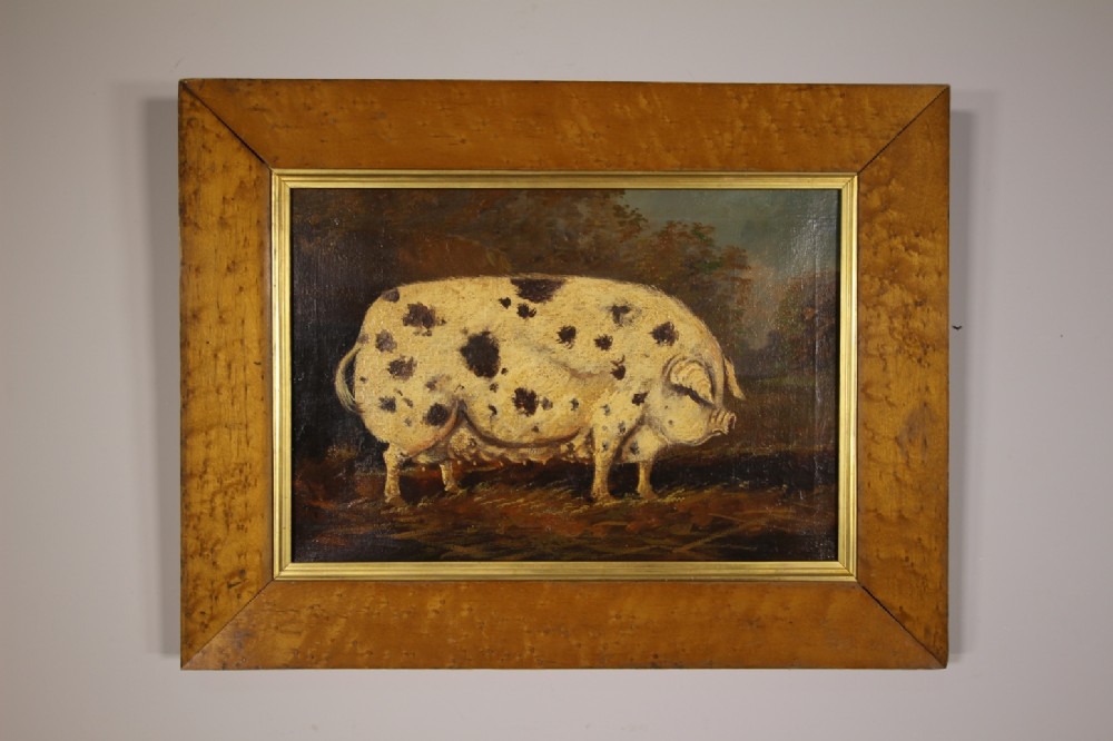 Lovely English 19th Century Antique Primitive Pig Oil Painting