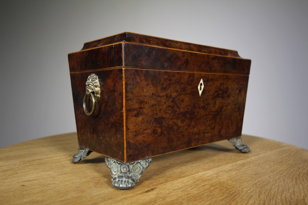 English Early 19th Century Antique Burr Yew Wood Caddy