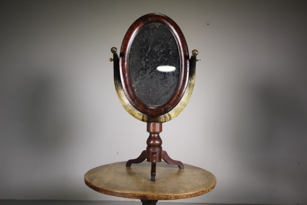 Fabulous 19th Century English Antique Mahogany & Cow Horn Oval Mirror 