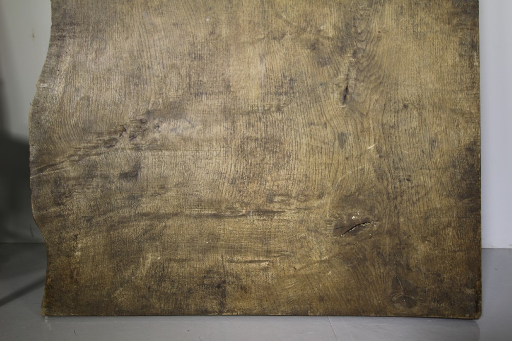 Monster Size Slab of English Antique Oak with Burrs View V