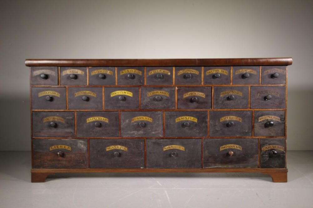 English 19th Century Antique Apothecary Chest of Drawers
