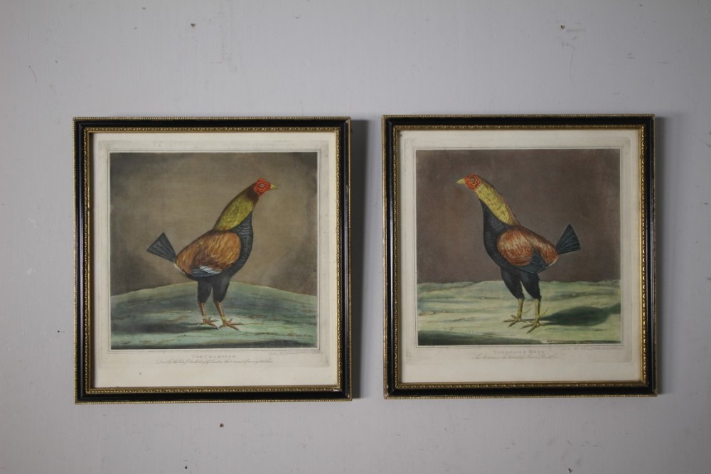 Pair of English Early 19th Century Antique Cock Prints