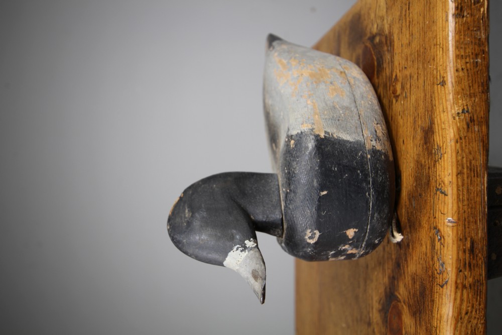 Honest English Edwardian Antique Decoy Duck – Stamped  View V