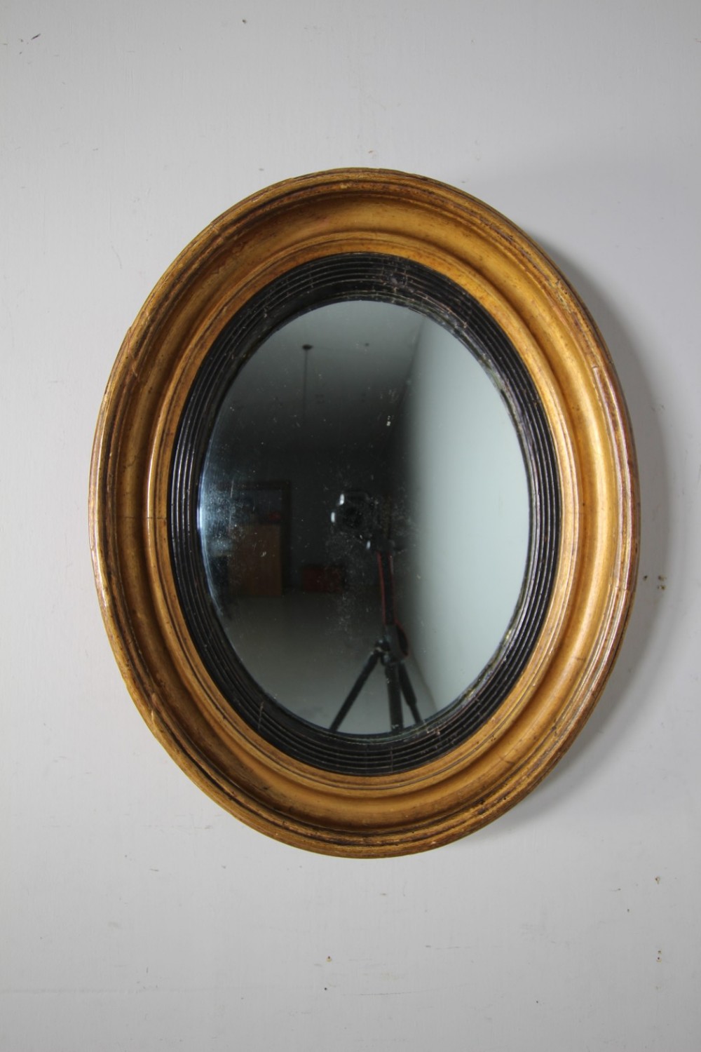 Regency Unusual Antique Oval Convex Gilt Mirror 
