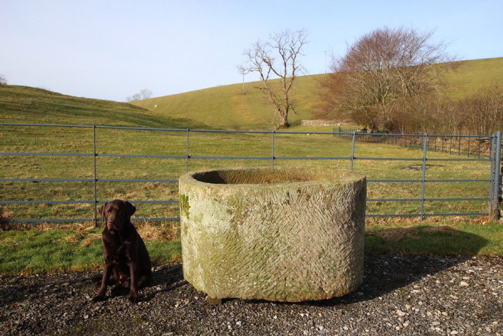 Amazing Large Georgian Oval Stone Trough 