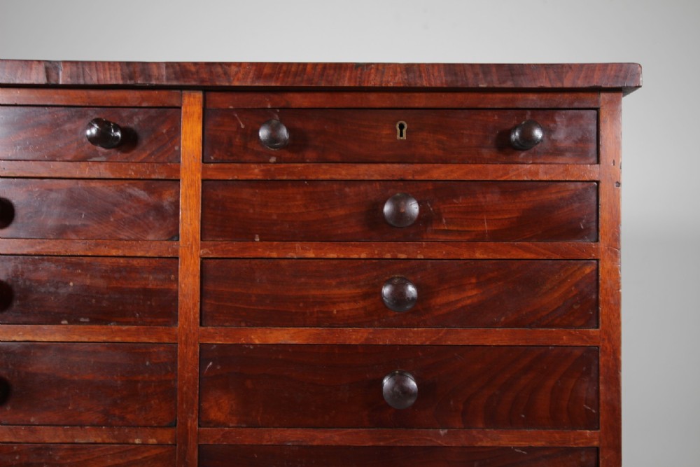 Regency English Antique Mahogany Bank of Drawers View III
