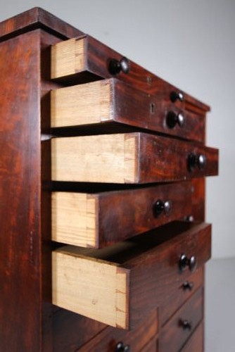 Regency English Antique Mahogany Bank of Drawers View V