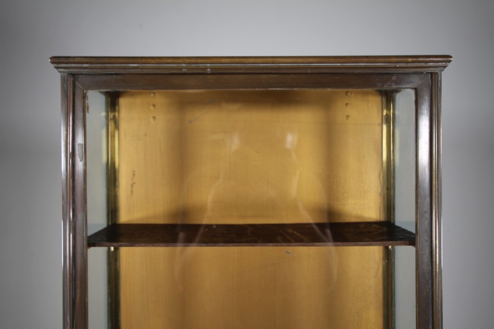 High Quality English 19th Century Antique Bronze Wall Cabinet with Label View IV
