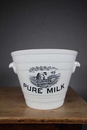 A white glazed ironstone dairy pail featuring integrated side handles, horizontal ribbed detailing, and a black transferware illustration of cows above the text PURE MILK.