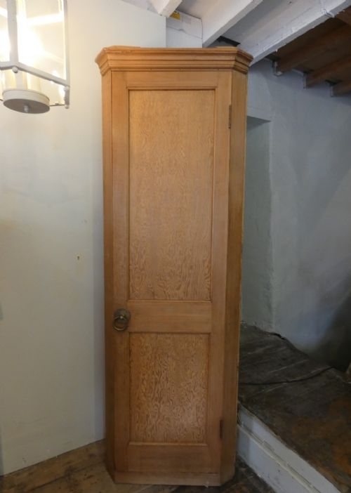 19thc Shelved Pine Corner Cabinet