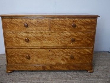 English 19thC Satinbirch Chest of Drawers