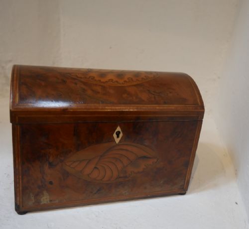19th Century Yew Tea Caddy