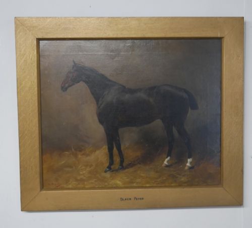 Oil Painting Horse "Black Peter"