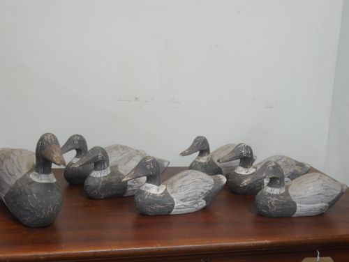 Set of Seven Decoy Ducks