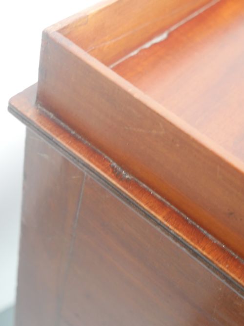FINE REGENCY BEDSIDE CUPBOARD - ADDITIONAL PHOTO 3