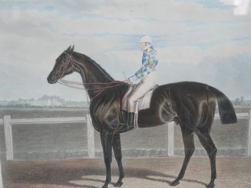 SET OF 5 HORSE RACING ENGRAVINGS - ADDITIONAL PHOTO 10