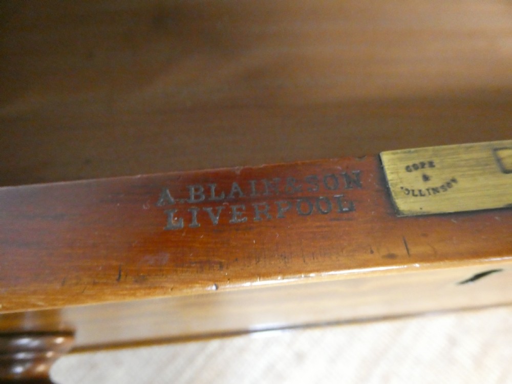 19thC Cabinet by A. Blane & Son View IX