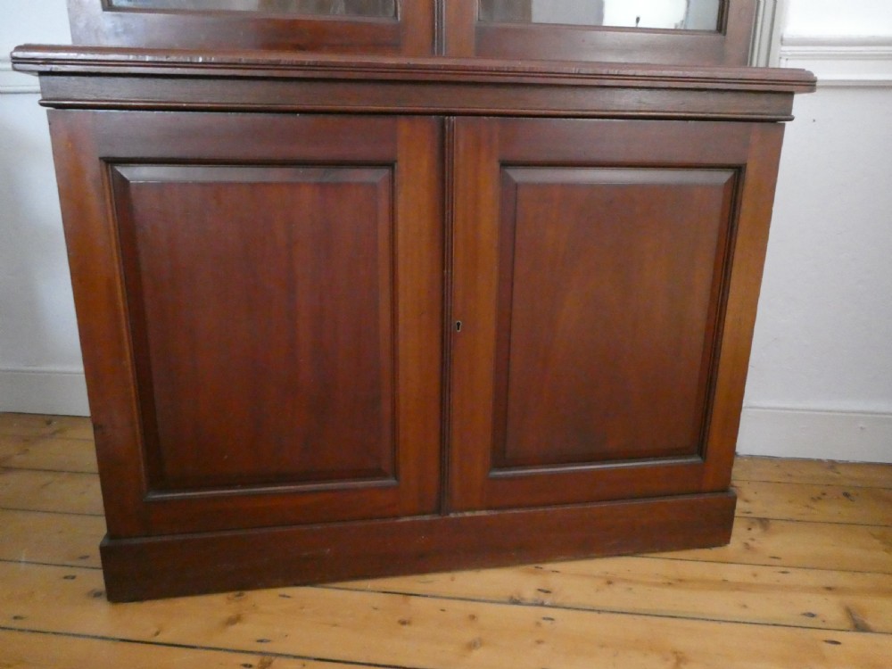 Scottish 19thC 2 Door Cupboard View II