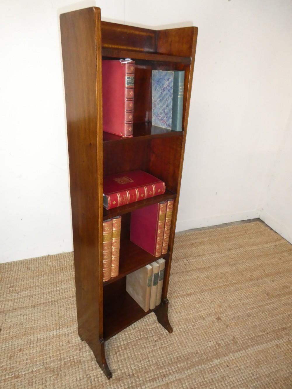 Early 20thC Narrow Bookcase View IX