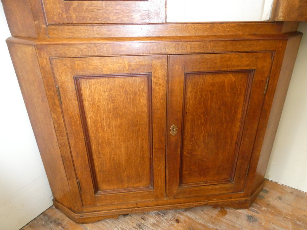 Early 19thC Oak Corner Cabinet View IV