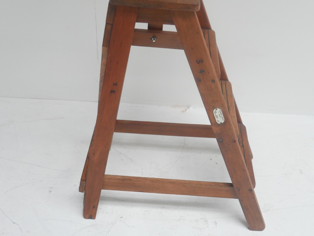 Pine Library Ladders  View VI