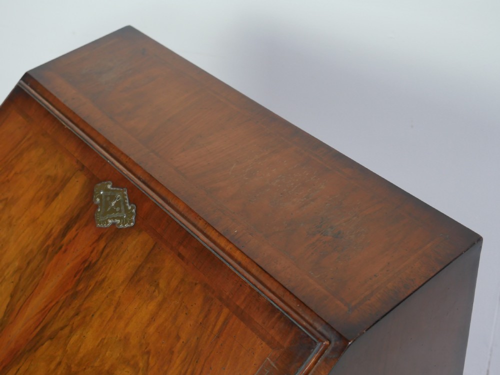 Walnut Bureau View X