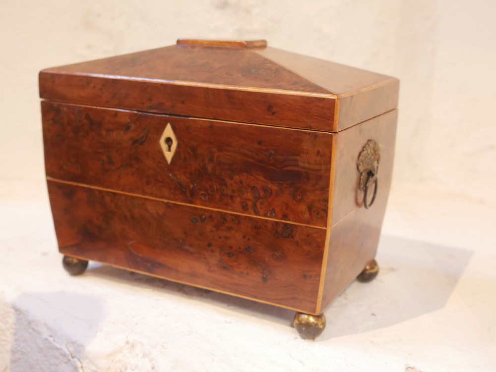 An antique sarcophagus-shaped yew wood tea caddy featuring a diamond escutcheon, brass side handles, and brass ball feet.