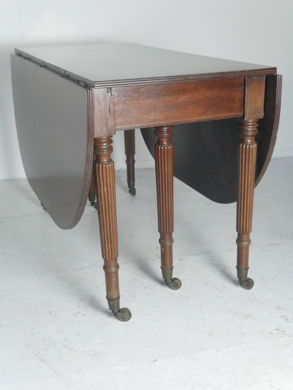 An antique mahogany drop-leaf dining table with reeded legs set on brass castors, shown fully extended. View VII