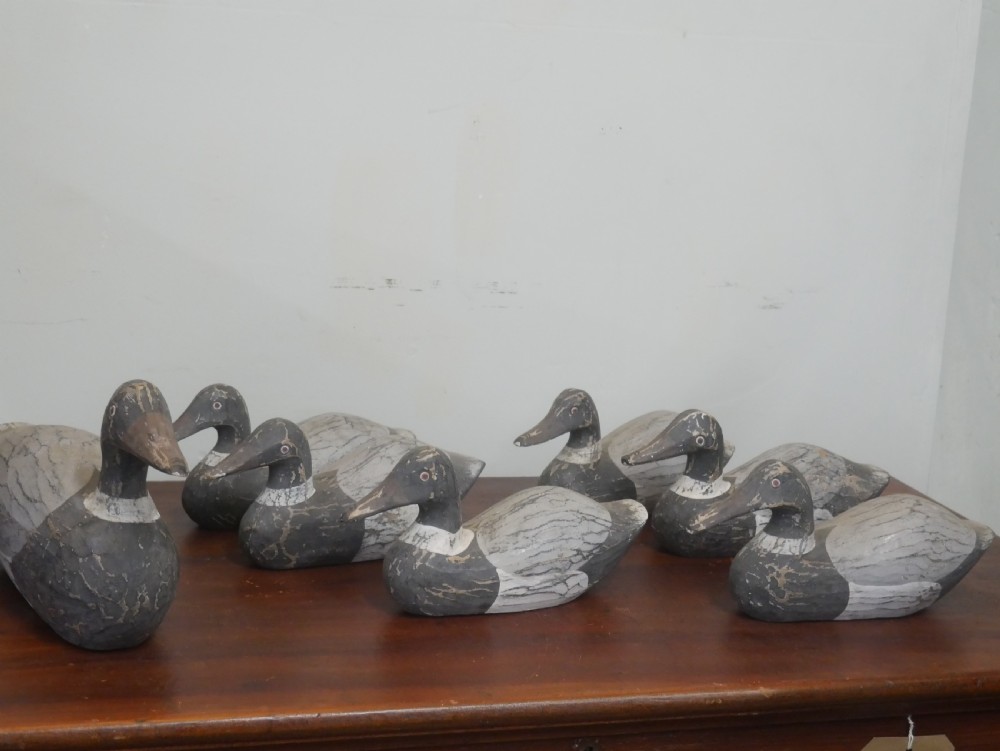 Set of Seven Decoy Ducks
