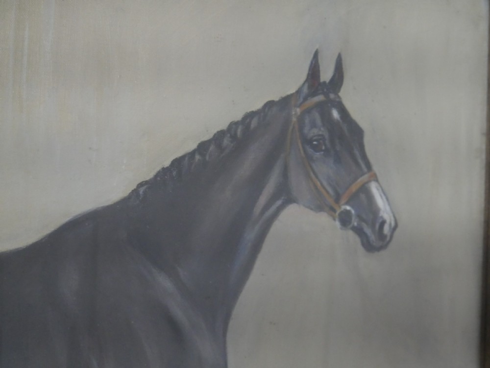 Scottish Horse Painting  