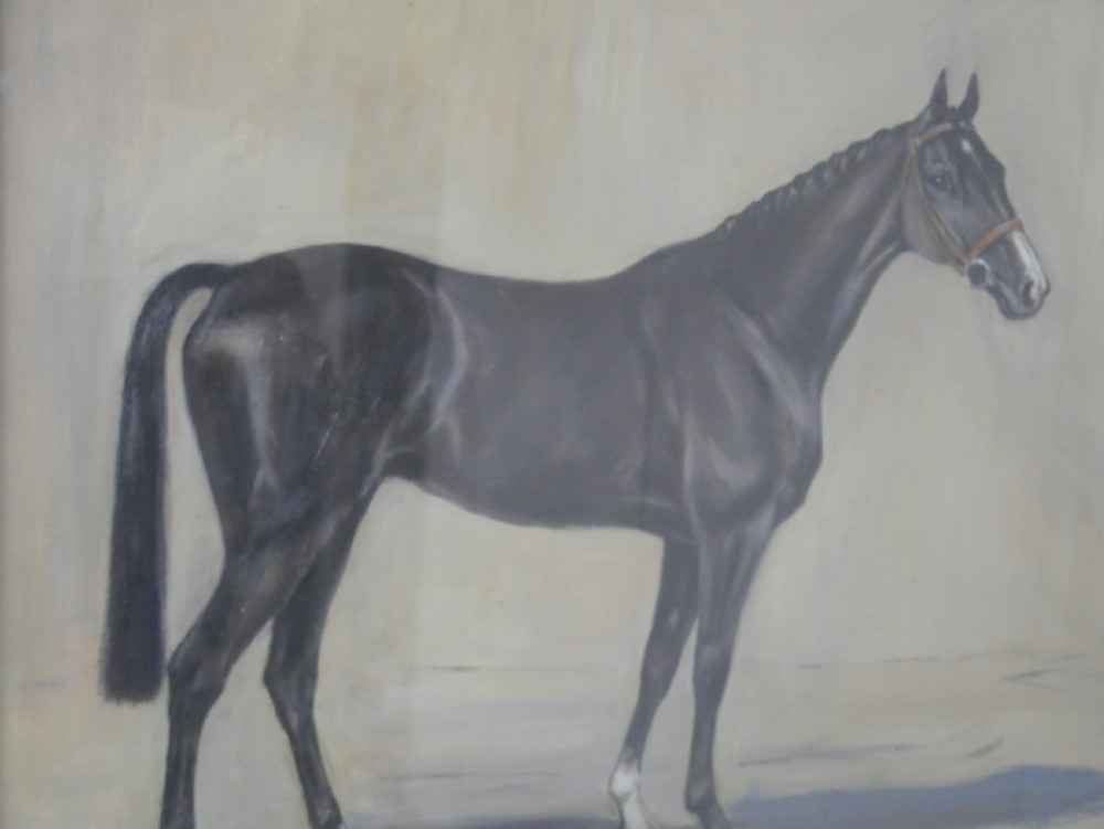 Scottish Horse Painting  