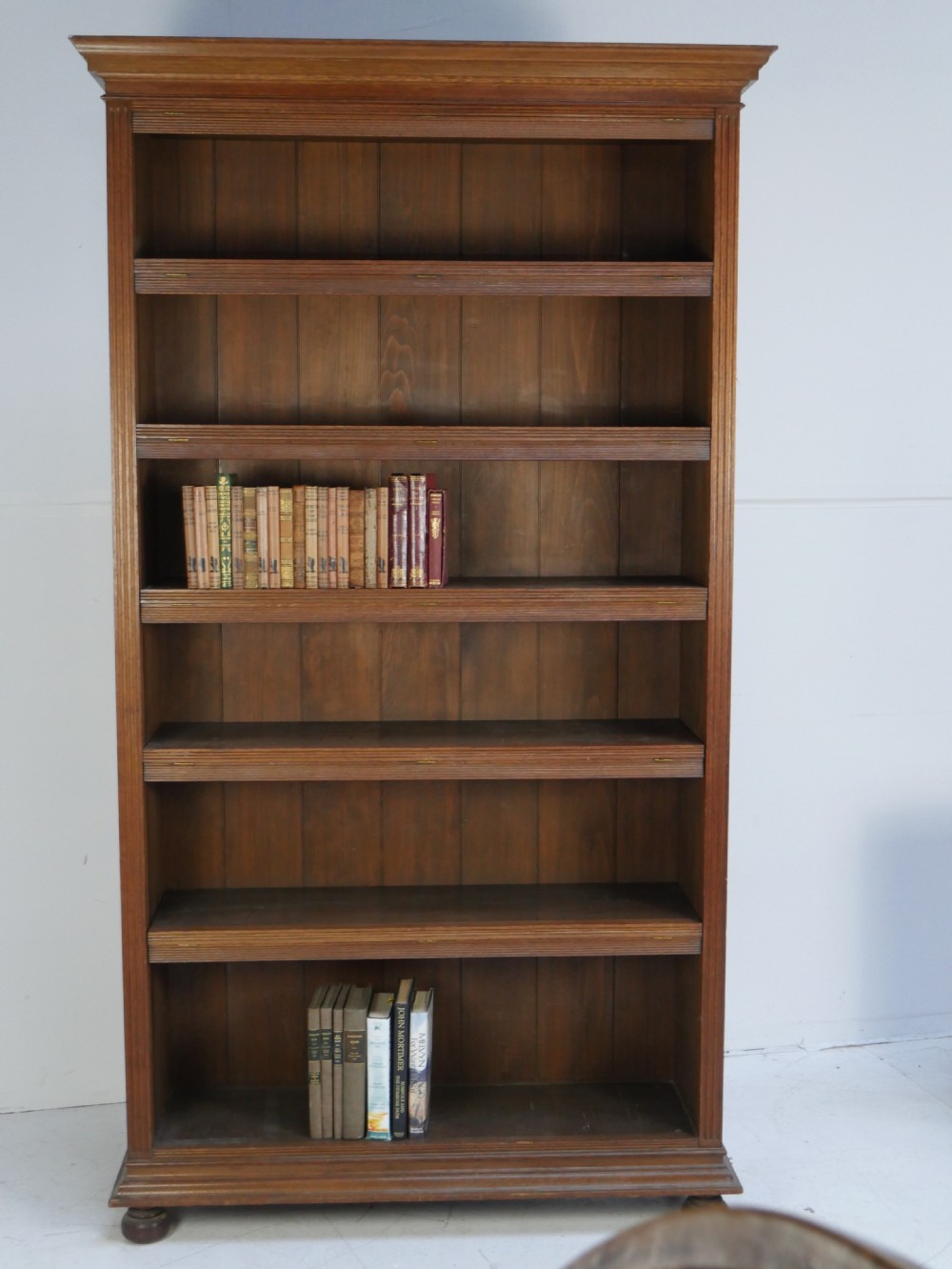 Large Scottish Open Bookcase  View VIII
