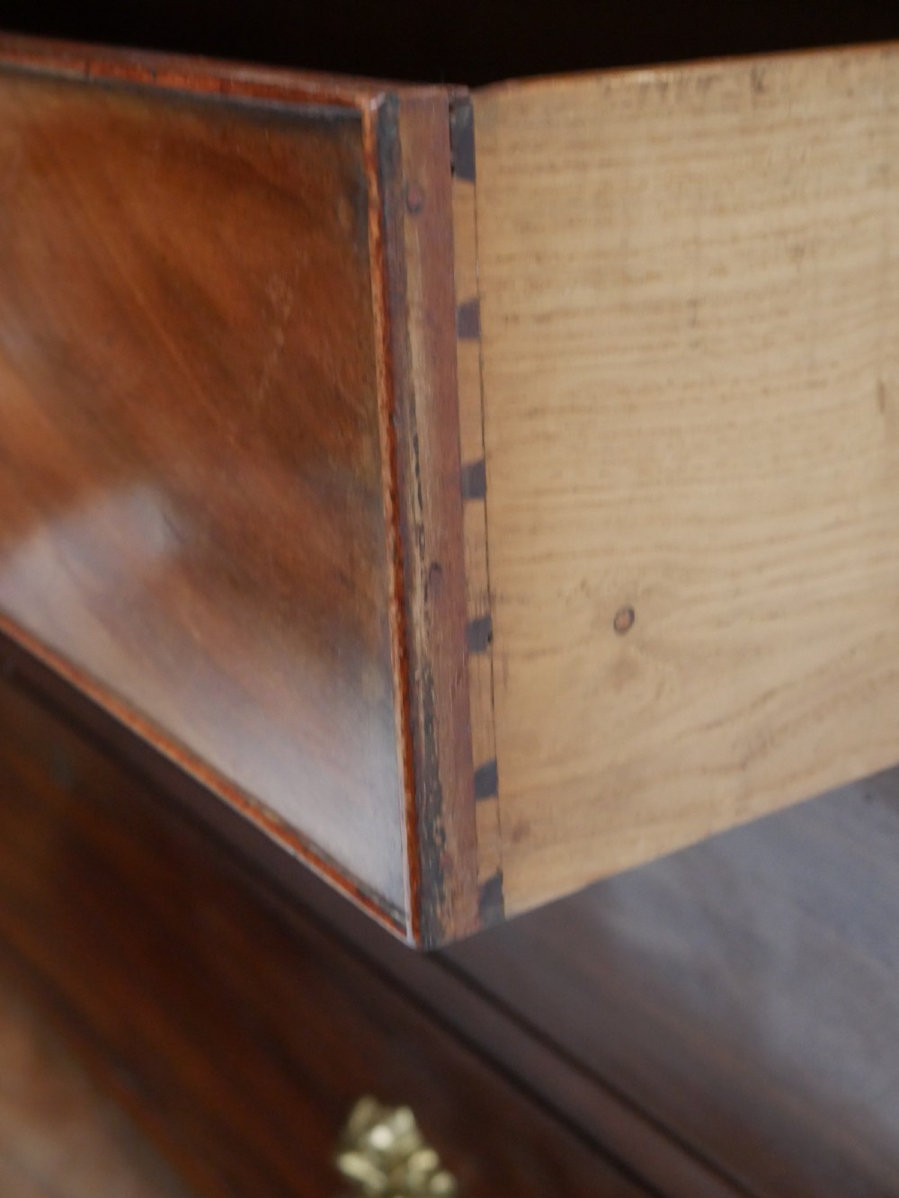 Tall Scottish Mahogany Linen Cupboard View XII