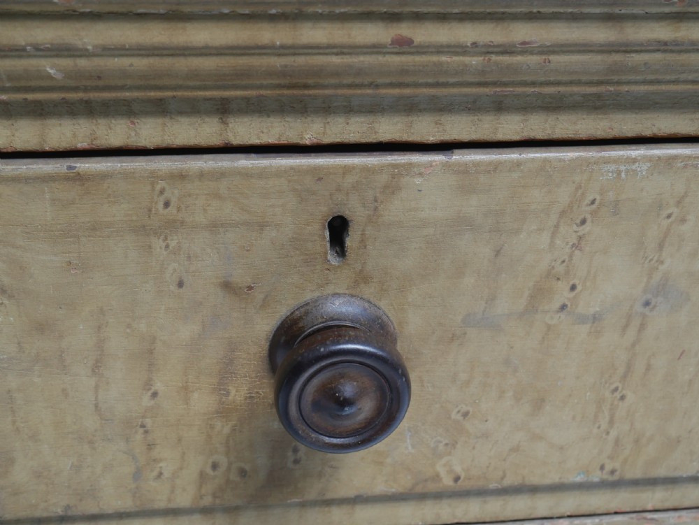 19thC Original Painted Chest of Drawers View VI