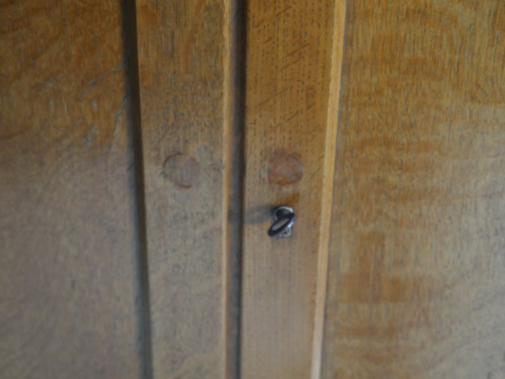 Oak chest View IV