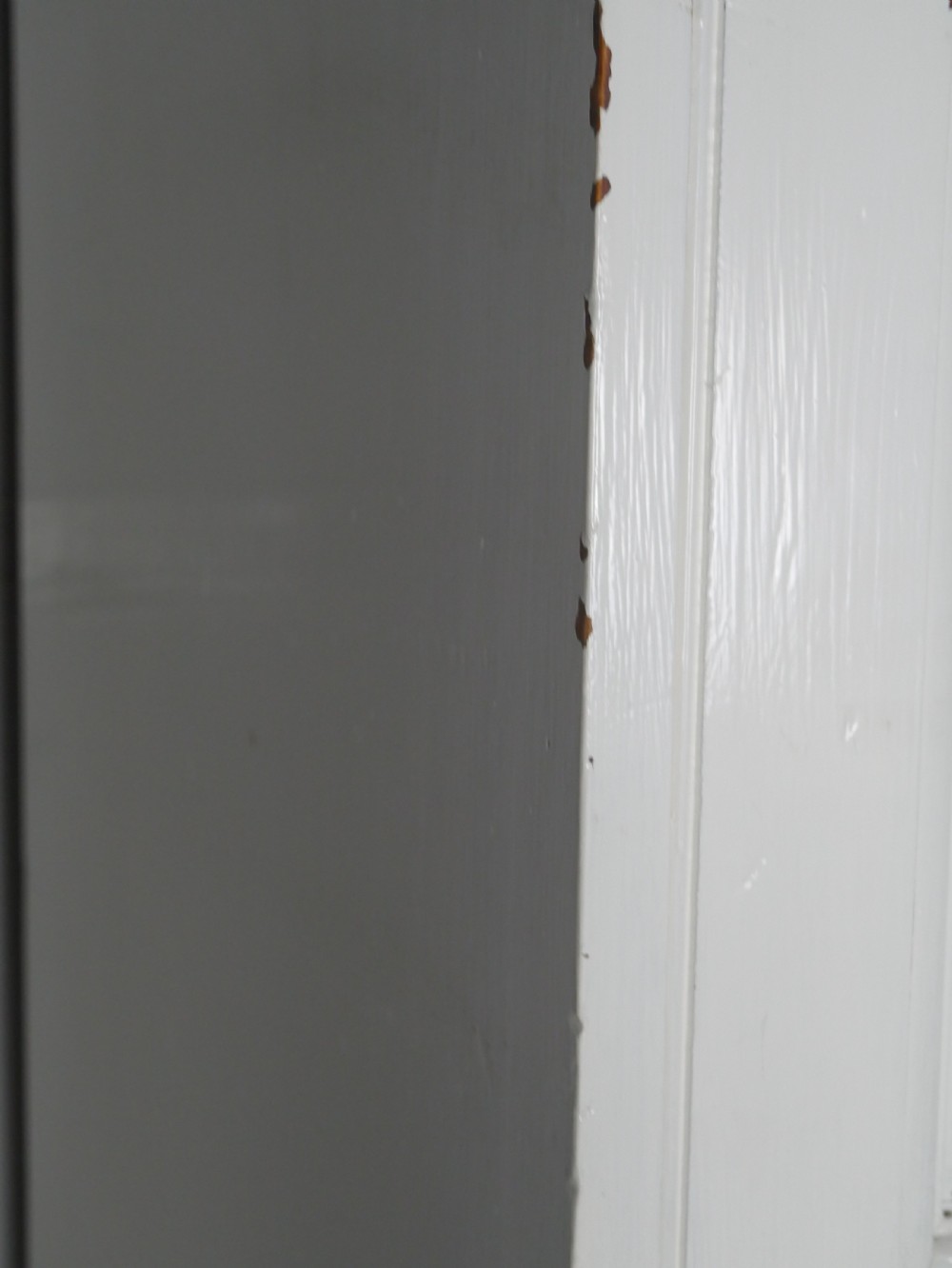 A large double-door white painted wooden wardrobe with open doors revealing a natural pine interior featuring a hanging rail and top shelf. View XIV
