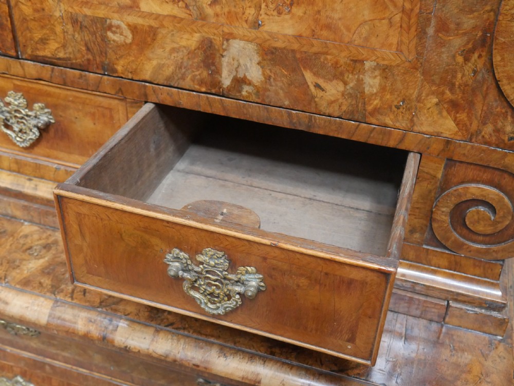 An 18th-century Dutch Rococo burr walnut cabinet featuring an arched moulded cornice, panelled doors, and a bombe three-drawer base with brass hardware. View V