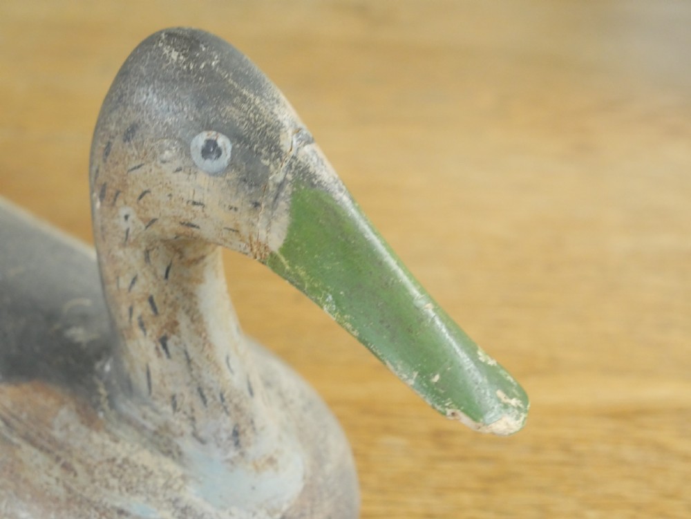 19thC Decoy Duck View II