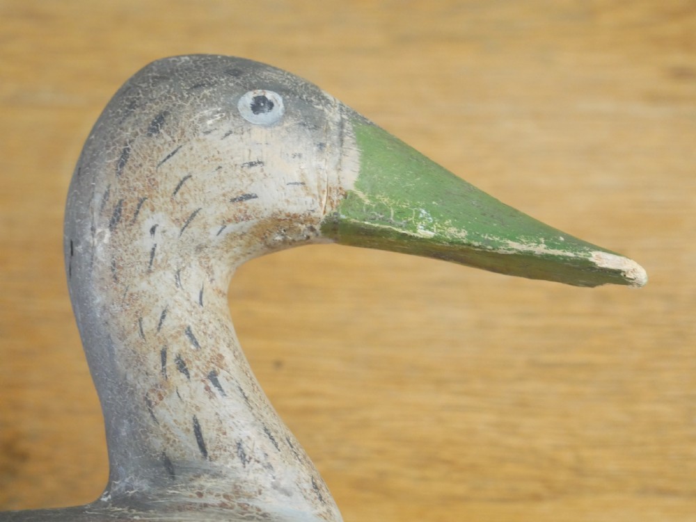 19thC Decoy Duck View VI