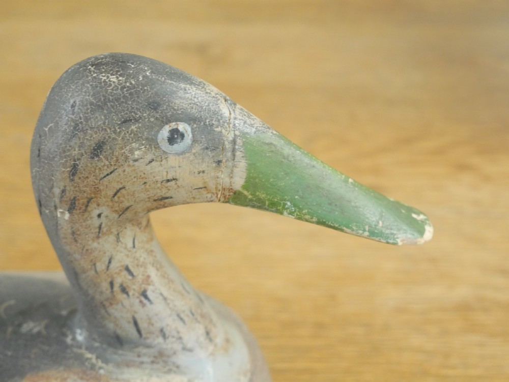 19thC Decoy Duck View VII