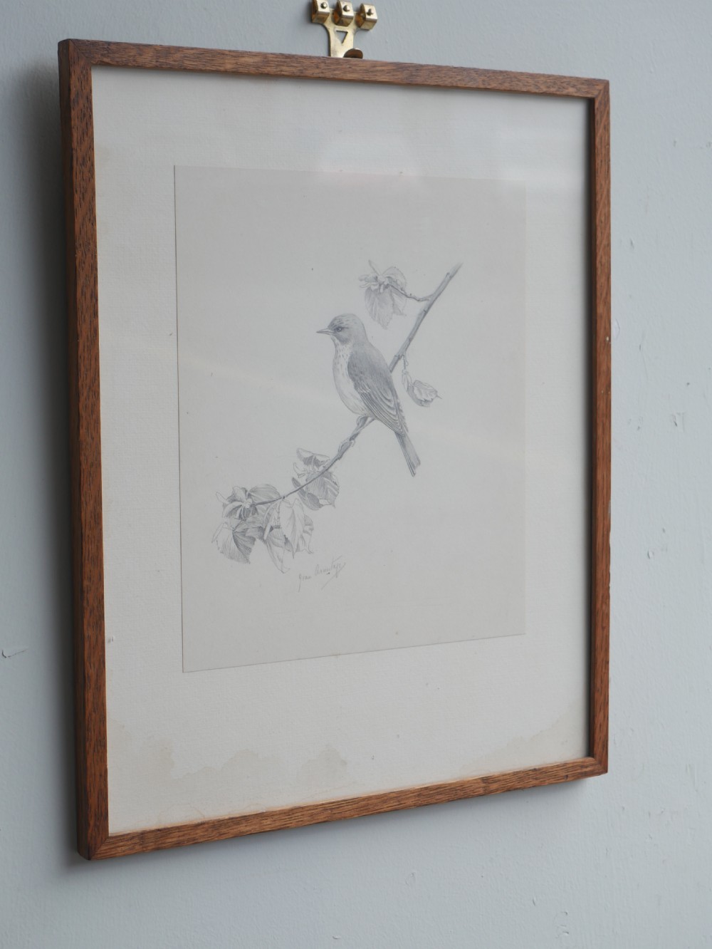A framed pencil drawing depicting a spotted flycatcher bird perched on a leafy branch against a neutral mount. View IV