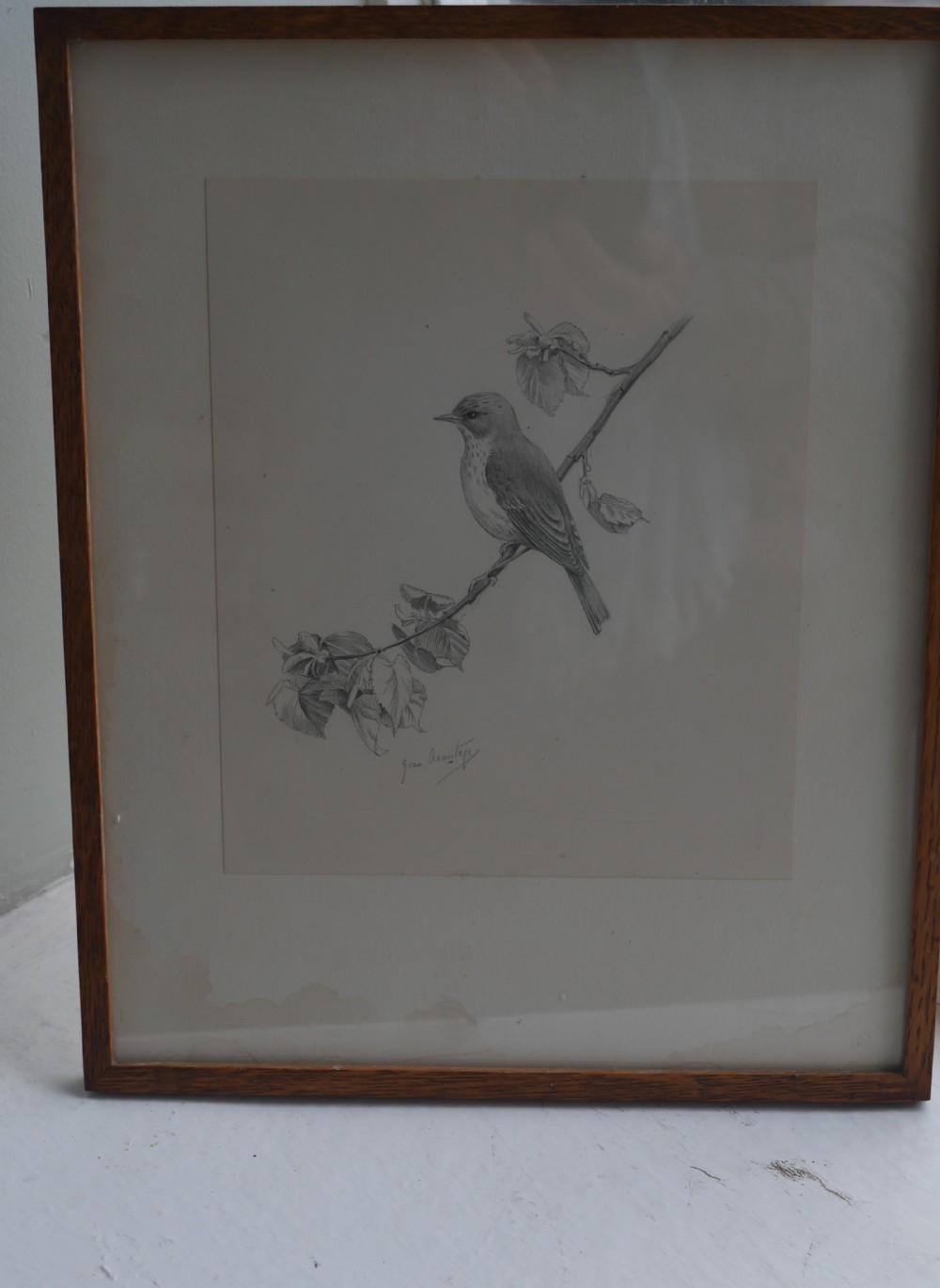 A framed pencil drawing depicting a spotted flycatcher bird perched on a leafy branch against a neutral mount.