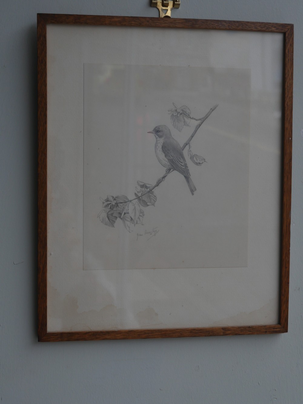 A framed pencil drawing depicting a spotted flycatcher bird perched on a leafy branch against a neutral mount. View VII